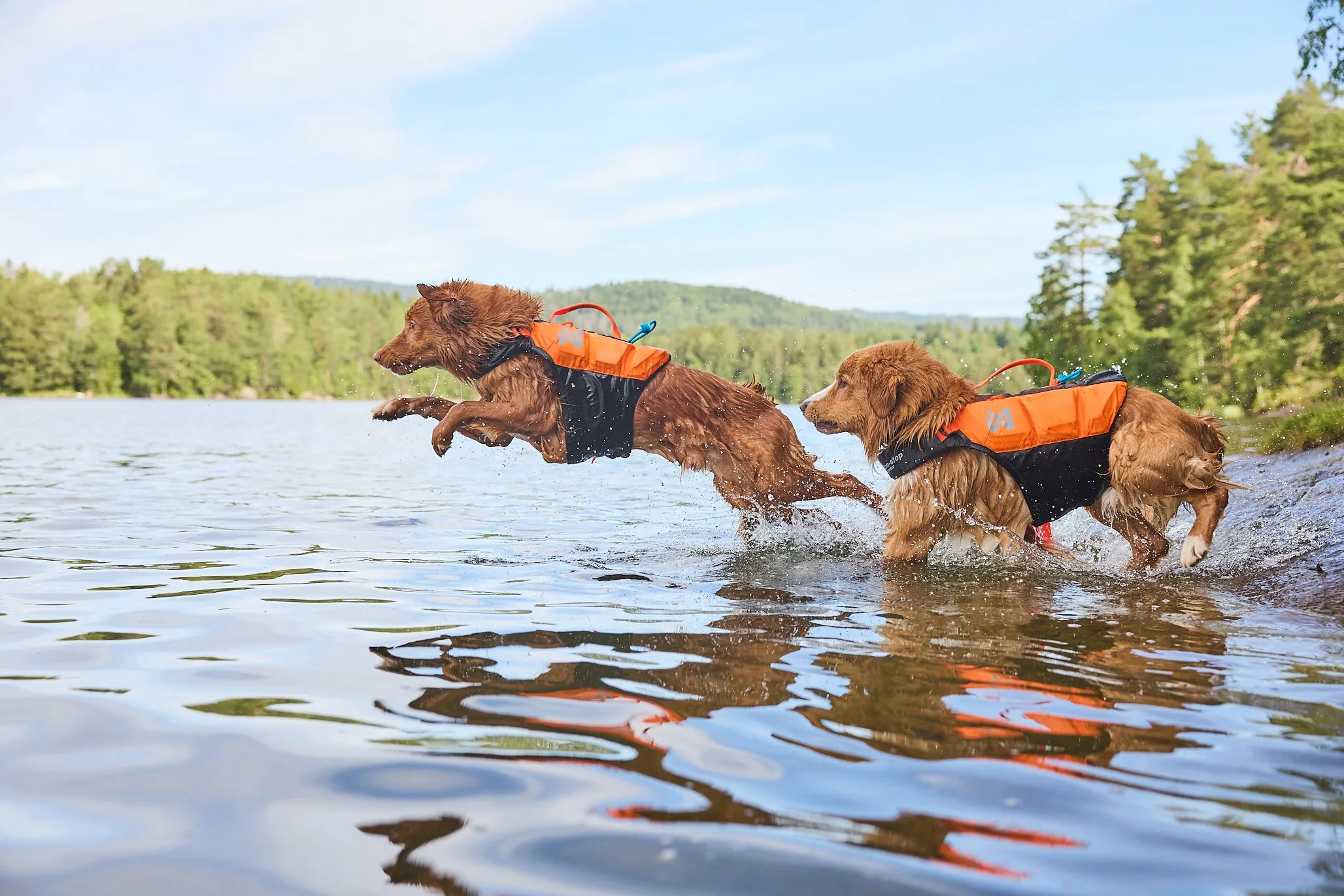 Non-Stop Dog Wear: Protector Life Jacket